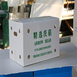 杭州钙塑蔬菜箱 钙塑蔬菜箱 飞燕塑胶制品